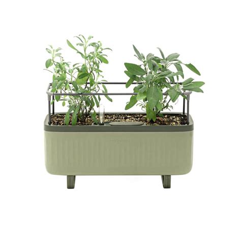 vego garden gift box